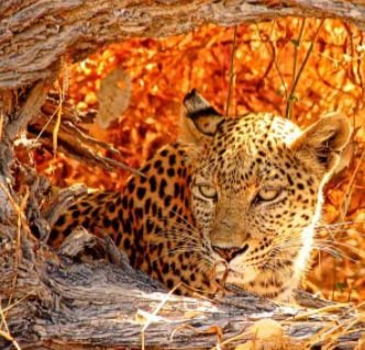 №744171 - оригинал