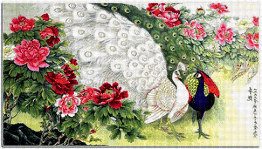 павлины - птицы, цветы - предпросмотр