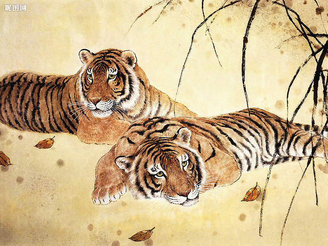 тигры - дикие животные, тигр - оригинал