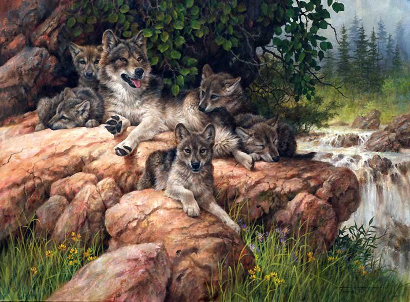 №744270 - оригинал