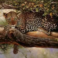 Схема вышивки «леопард»