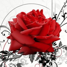 Схема вышивки «Роза корректированная»