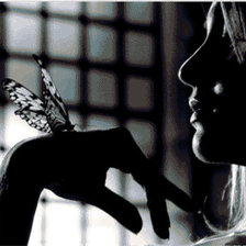 Схема вышивки «Монохром бабочка 1»