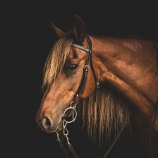 Схема вышивки «Аро»