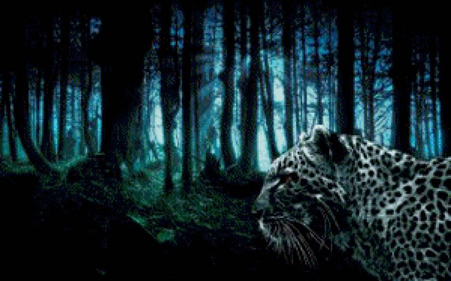 гепард - гепарды, ночь, гепард, милость, лес, животные - предпросмотр