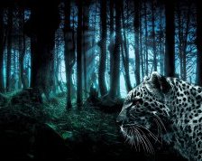 Схема вышивки «гепард»