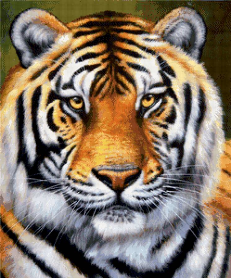 тигр - дикие животные, тигр - предпросмотр