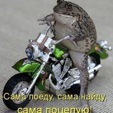 Схема вышивки «Лягушка»