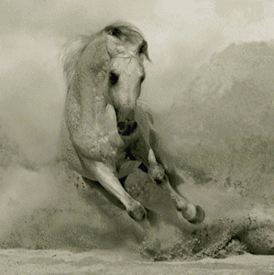 Лошадь - лошадь, животные - предпросмотр