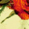 Предпросмотр схемы вышивки «Розы» (№745198)