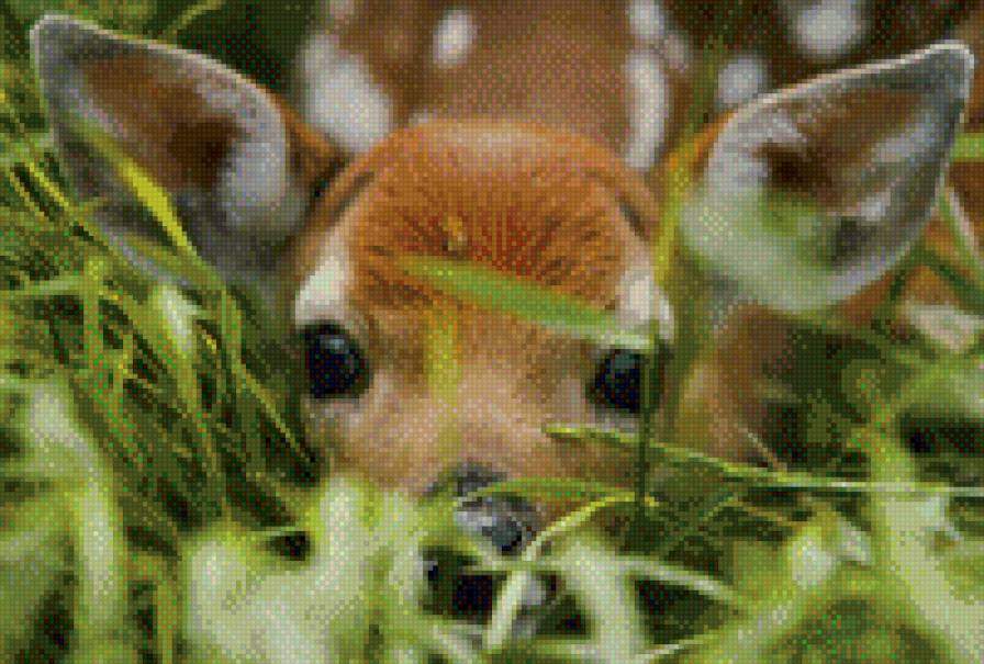 №745328 - олененок - предпросмотр