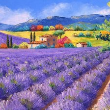 лавандовое поле