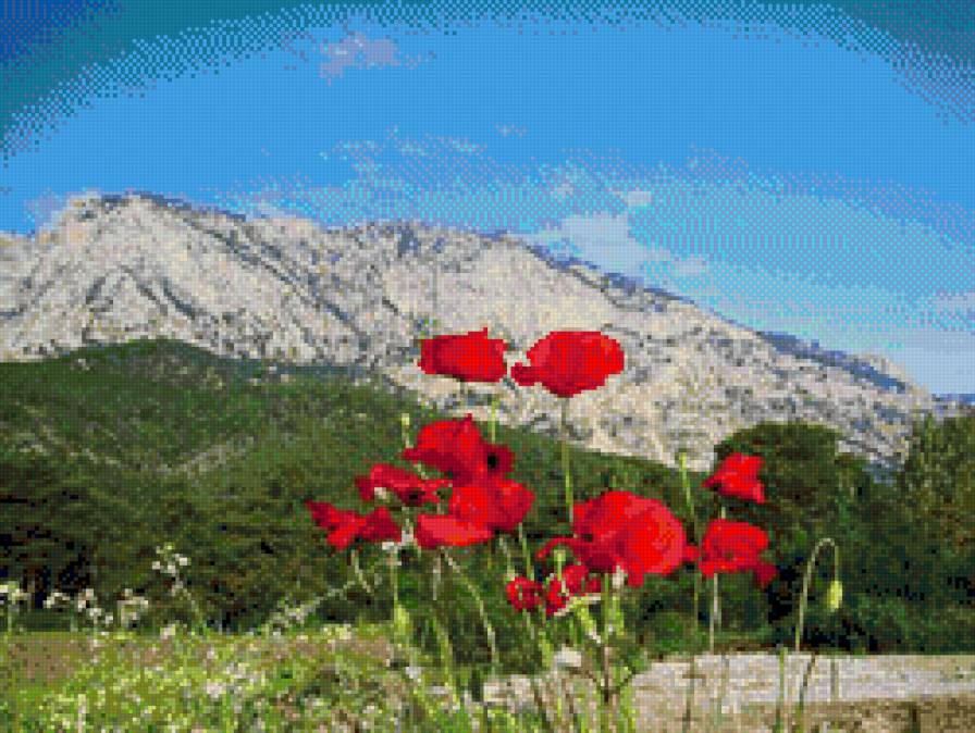 Маки и горы - маки, горы, цветы - предпросмотр