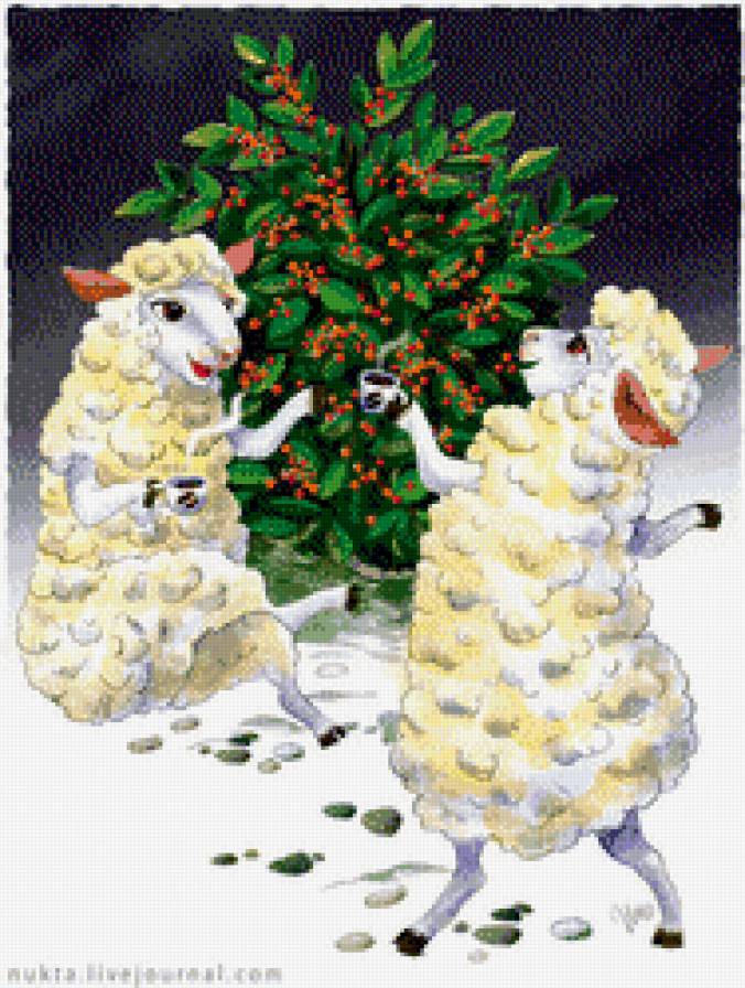 овечки - кофе, овцы, животные, барашек - предпросмотр