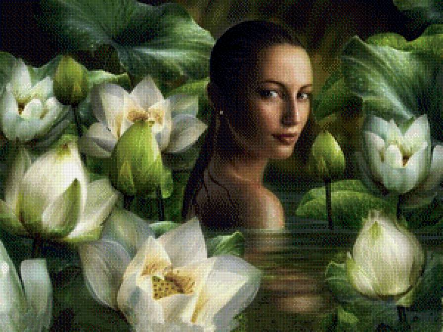 Девушка - люди, лотос, река, девушка - предпросмотр