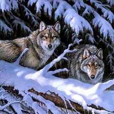 Схема вышивки «Волки в зимнем лесу»