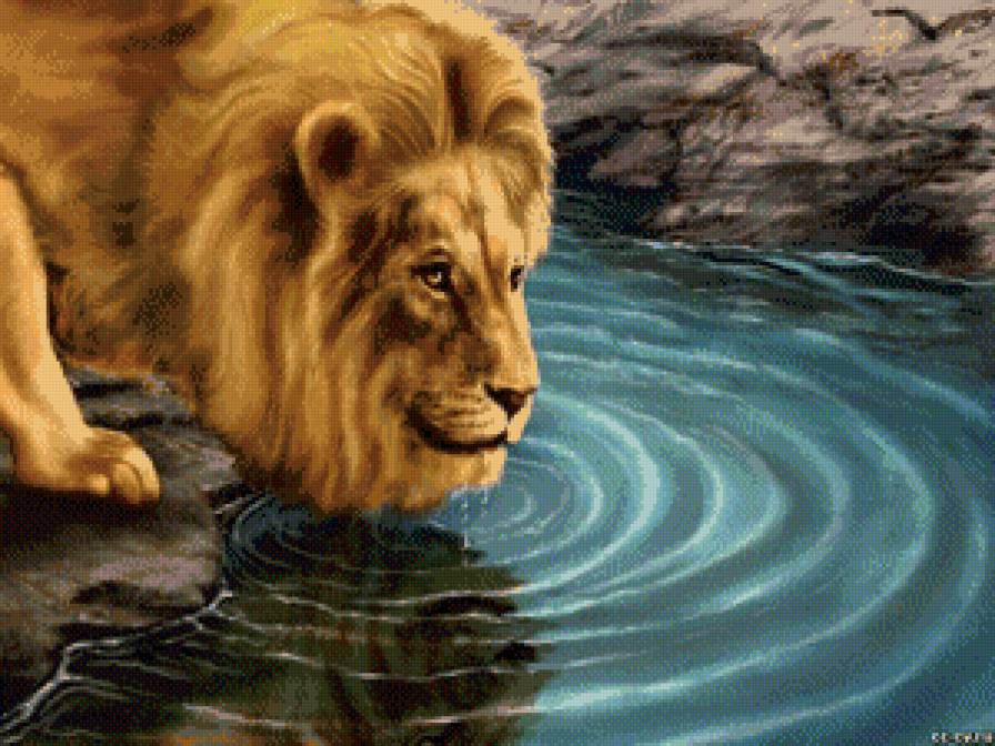 Лев - река, животные, лев - предпросмотр