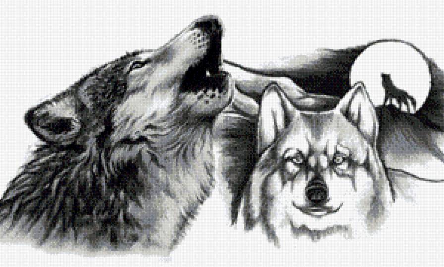 Волки - волки, животные, луна, лес - предпросмотр