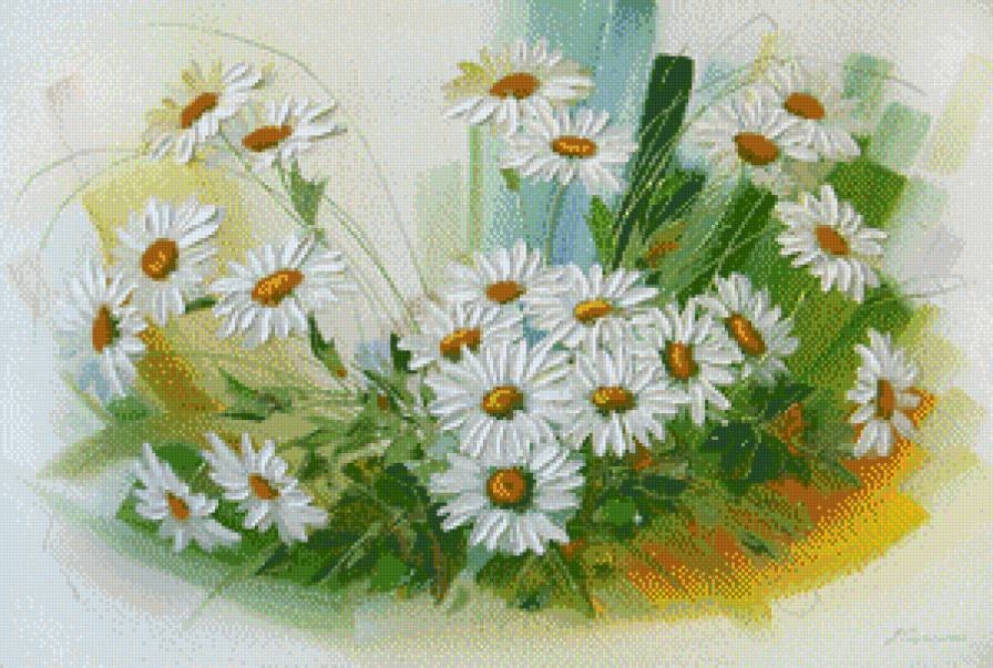 Ромашки - цветы, ромашки - предпросмотр