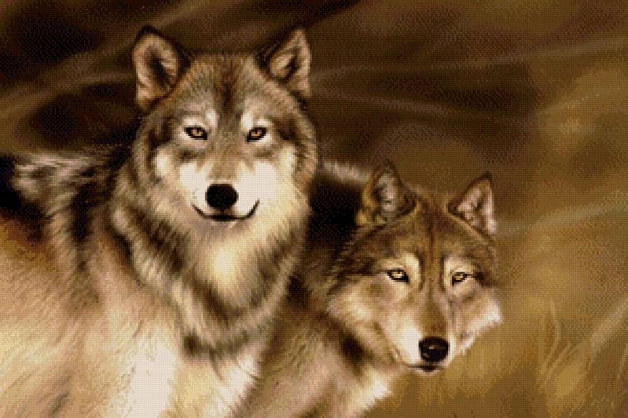 Волки - животные, волки - предпросмотр