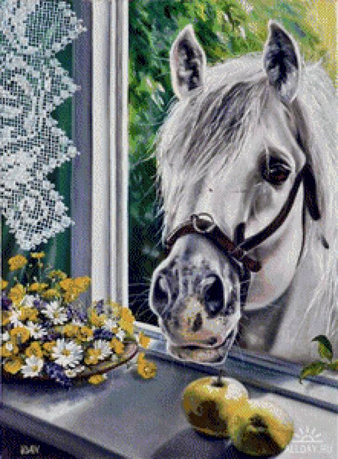 Любопытный сосед - лошади - предпросмотр