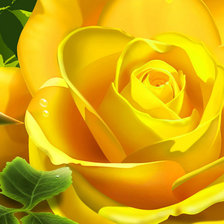Схема вышивки «Жолтая роза»