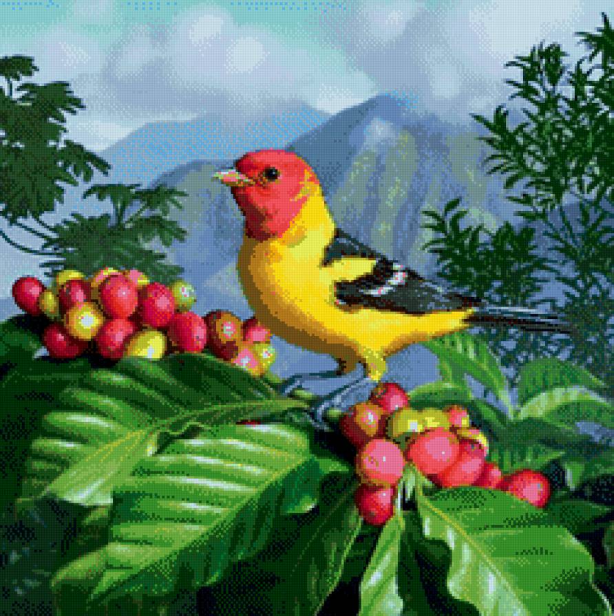 птичка - птица, птицы, природа, пейзаж, экзотика, ягоды - предпросмотр