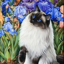 Схема вышивки «Кошка»