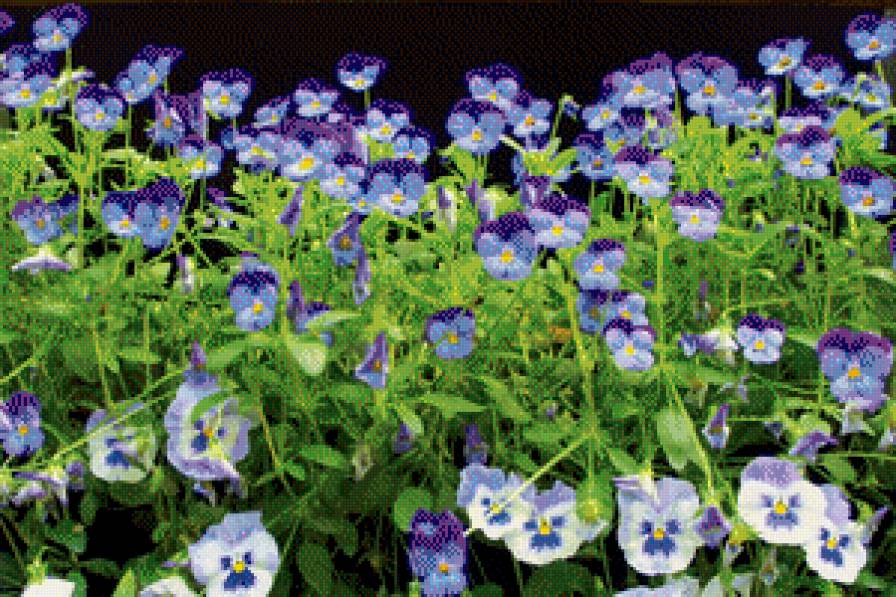 цветочки - предпросмотр