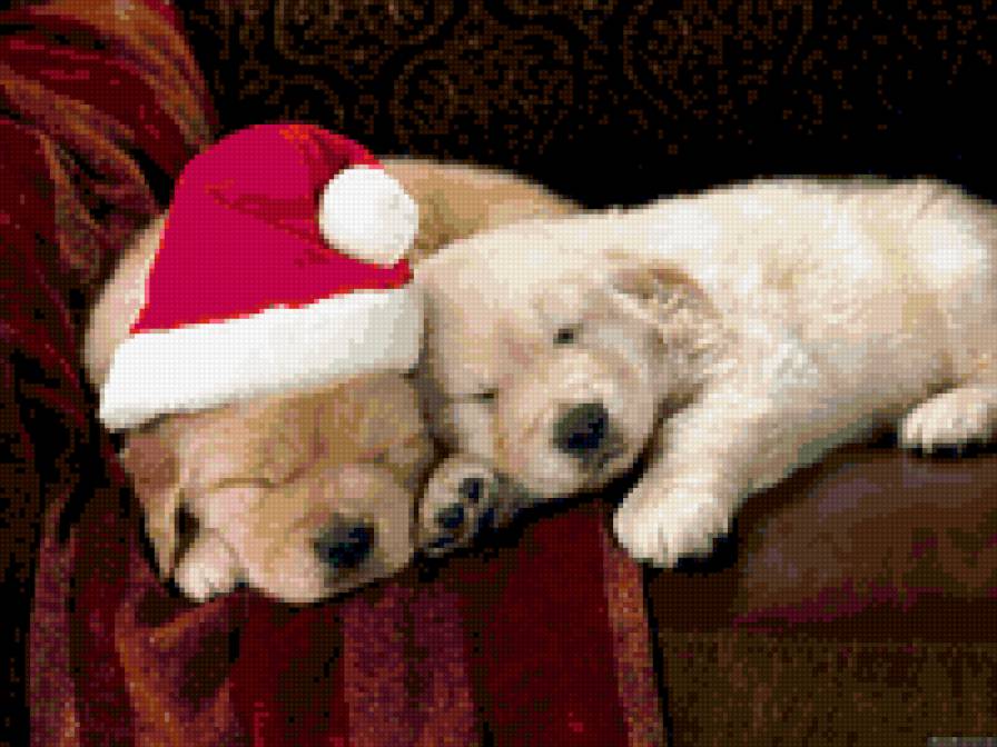 друзья - предпросмотр