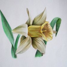 Оригинал схемы вышивки «цветы» (№746052)