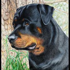 Схема вышивки «собаки»