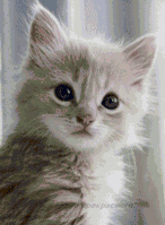 Киска - предпросмотр