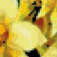 Предпросмотр схемы вышивки «Букет нарцисов» (№746189)