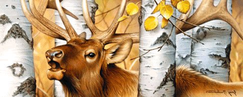 Олень - олень, животные, природа, береза - оригинал