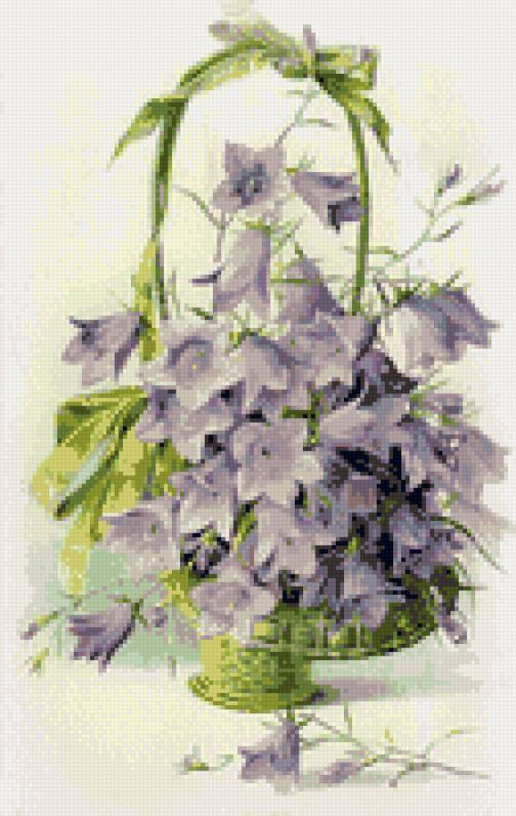 Колокольчики - цветы, колокольчики, букет - предпросмотр