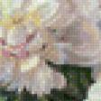 Предпросмотр схемы вышивки «серия "пионы"» (№746236)
