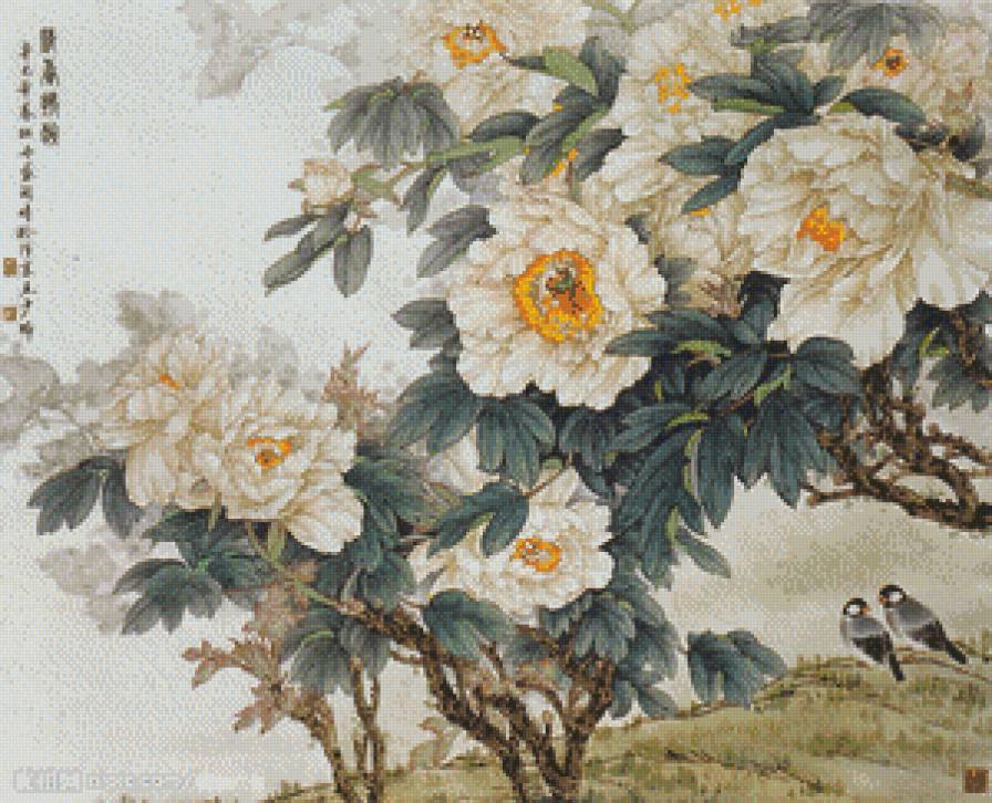 серия "пионы" - цветы.пионы.птицы - предпросмотр