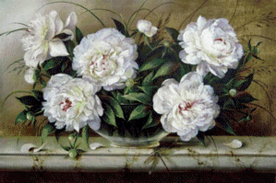 серия "пионы" - цветы.пионы. - предпросмотр