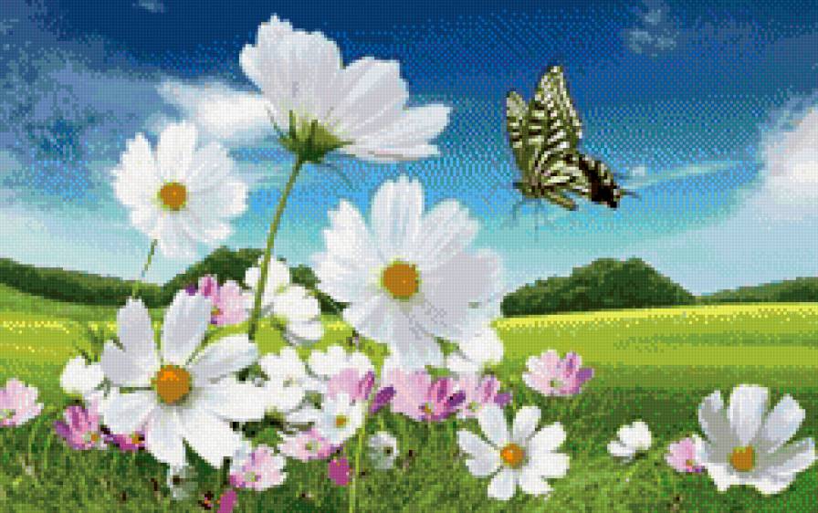 лето - поле, бабочка, ромашки, цветы, ромашка - предпросмотр