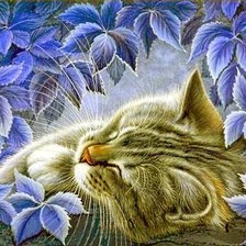 Оригинал схемы вышивки «сладко спит котёнок» (№746313)