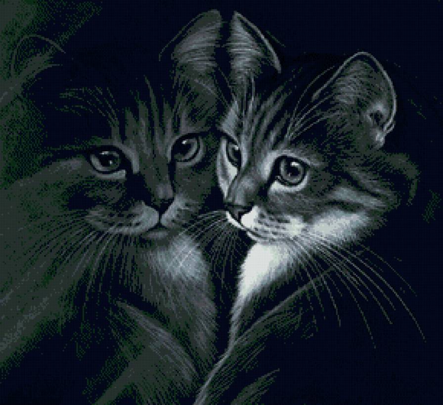 отражение - кошка, кот, животные - предпросмотр