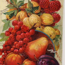 Схема вышивки «Натюрморт»