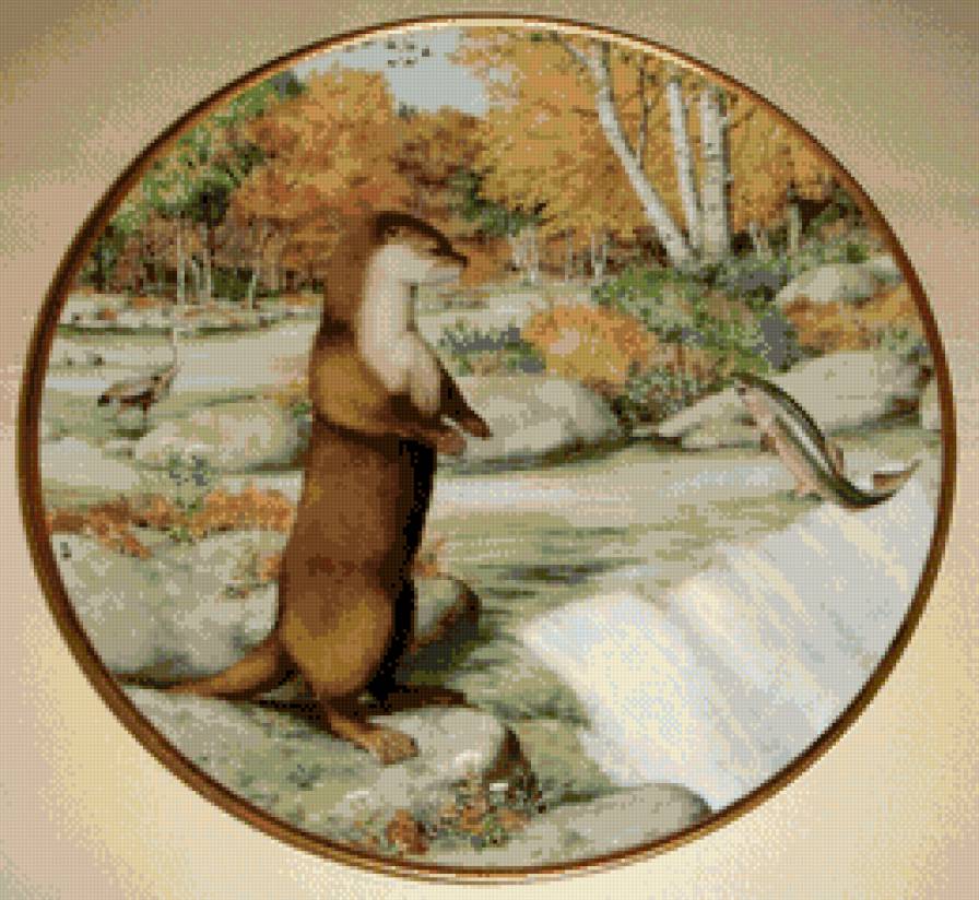 Животные 2. Выдра - предпросмотр