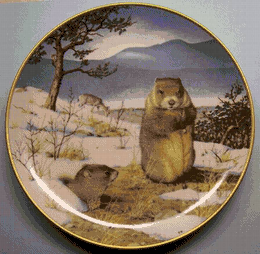 Животные4. Хомяк - предпросмотр