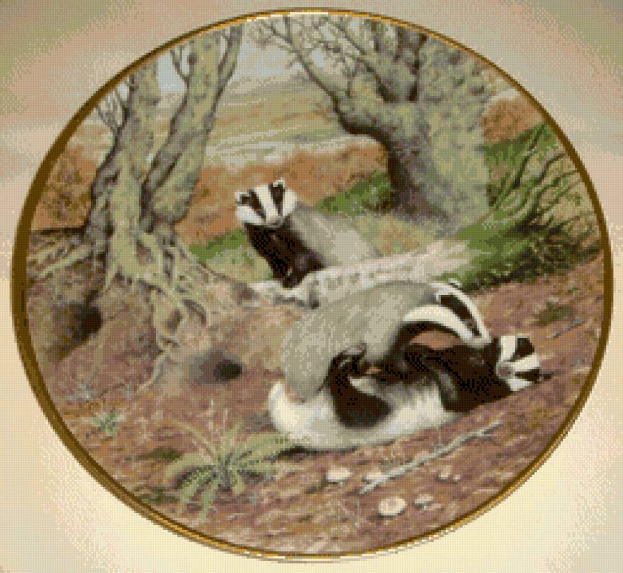 Животные 6. - предпросмотр