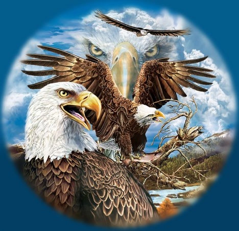 Животные 20. Птицы - оригинал