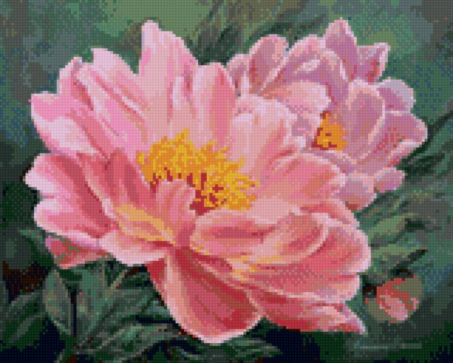 Пион - предпросмотр