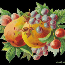 Схема вышивки «Фрукты»