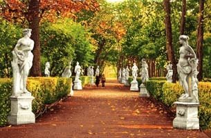 Летний сад - оригинал